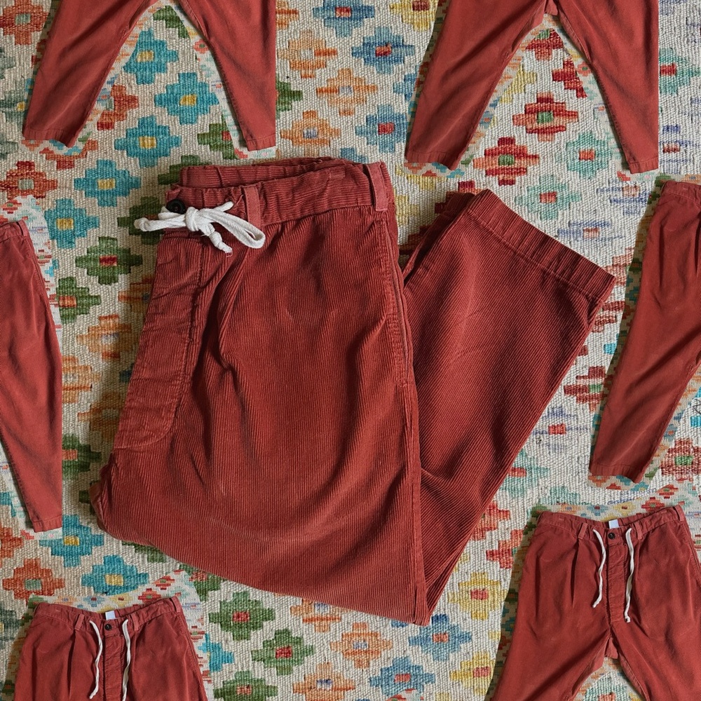 SEEKER corduroy Paddington pant